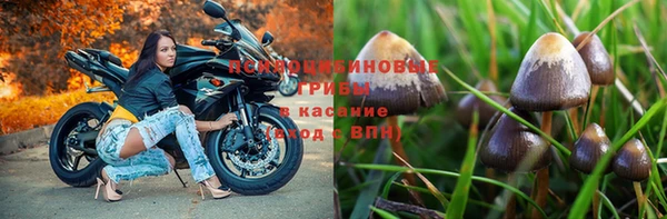 бошки Арсеньев