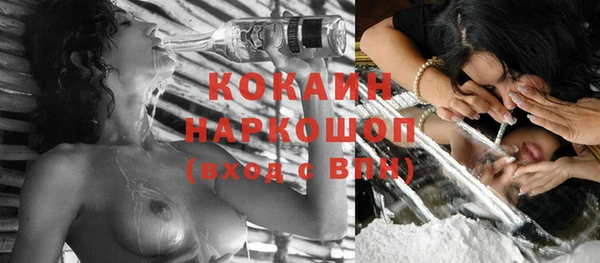 индика Надым