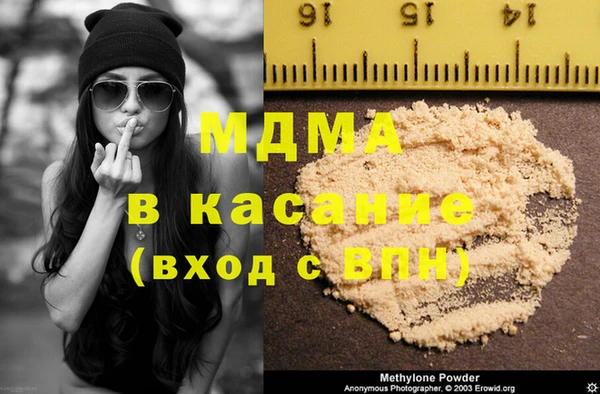 индика Надым