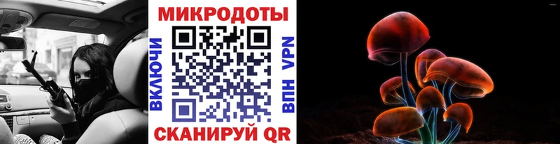 Галлюциногенные грибы Psilocybe  Советская Гавань 